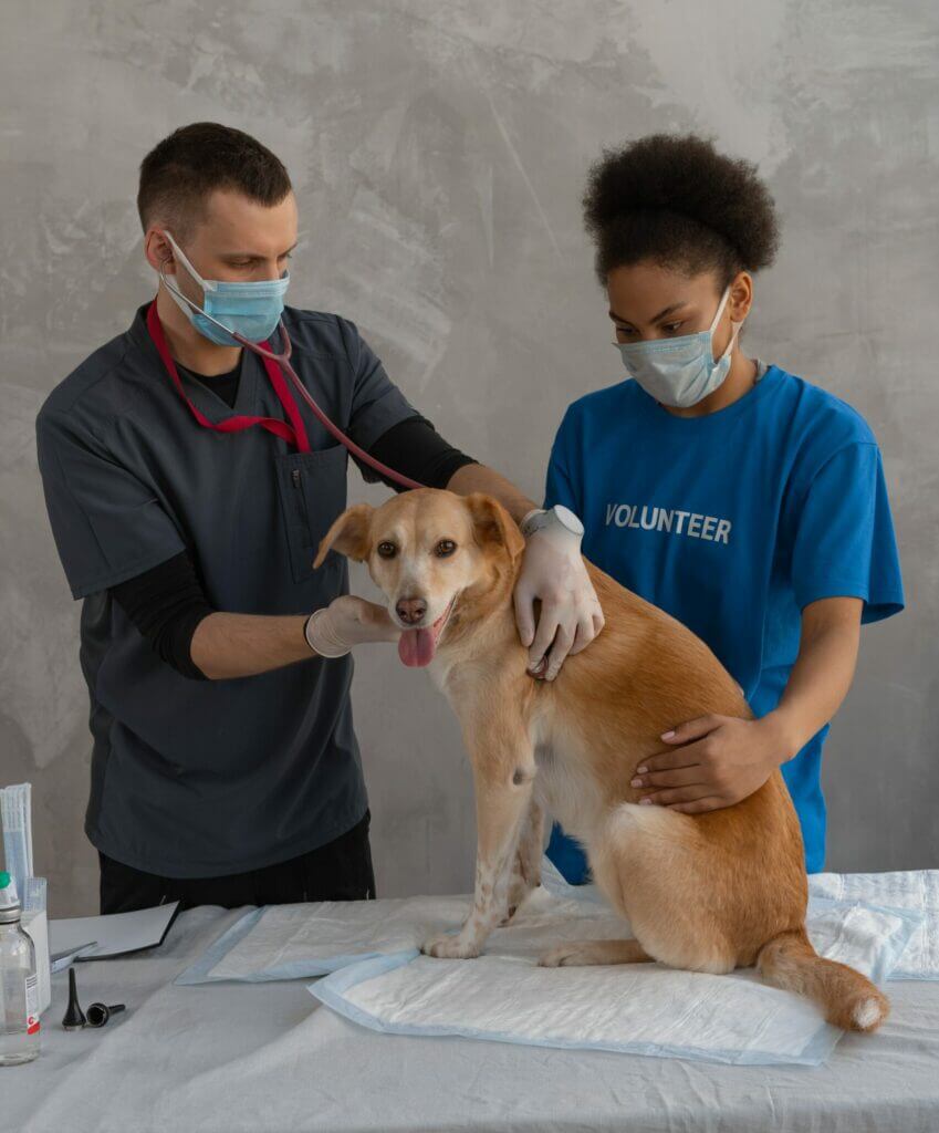 PDFs in the medical field