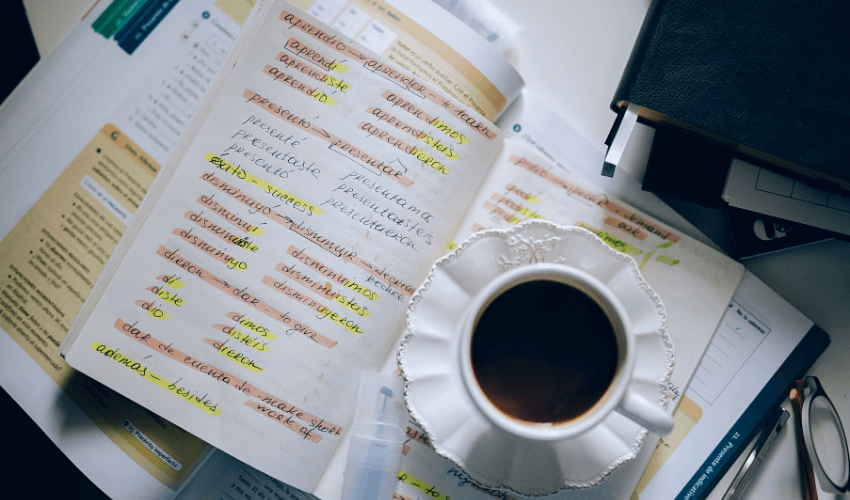 Language Phrasebooks in PDF