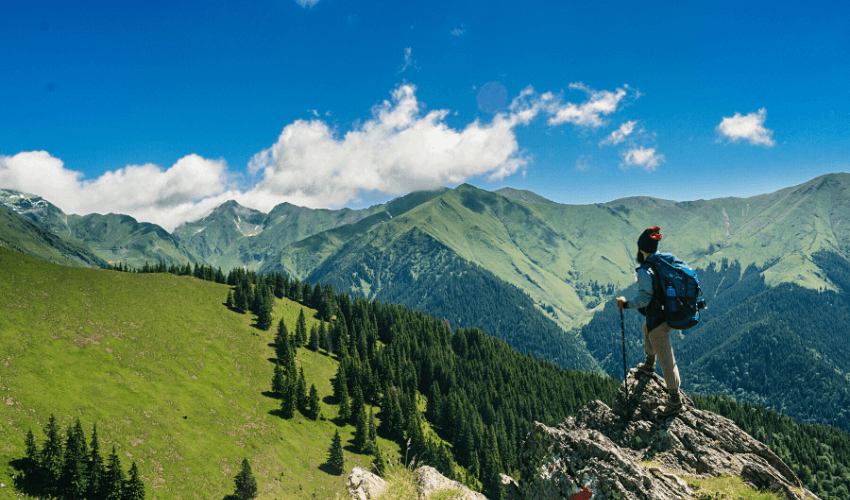 PDF 格式的旅行保险政策：